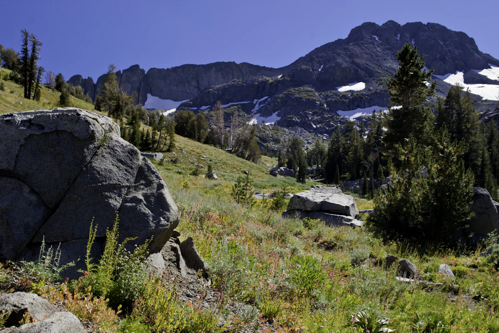 large boulder in an alpine meadow in front of mountains