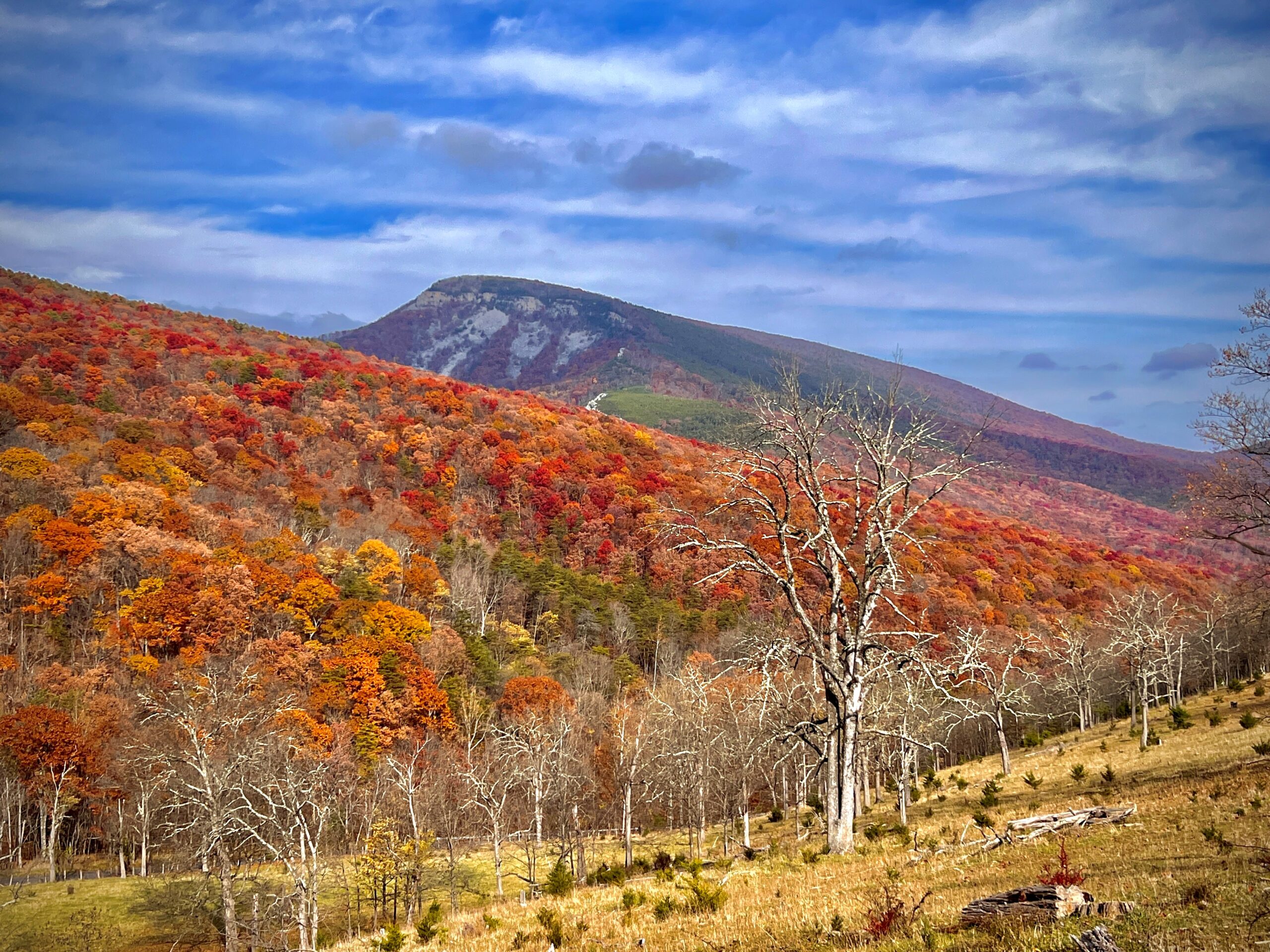 Eight Stunning Fall Drives through a National Forest — National