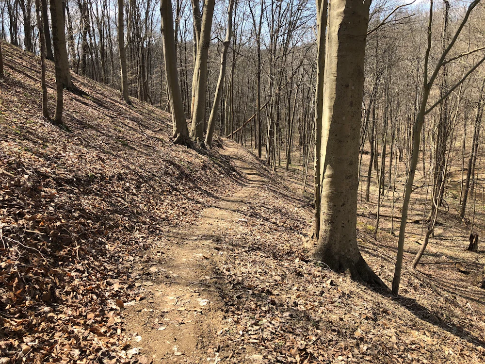 05 Lost Marbles Trail