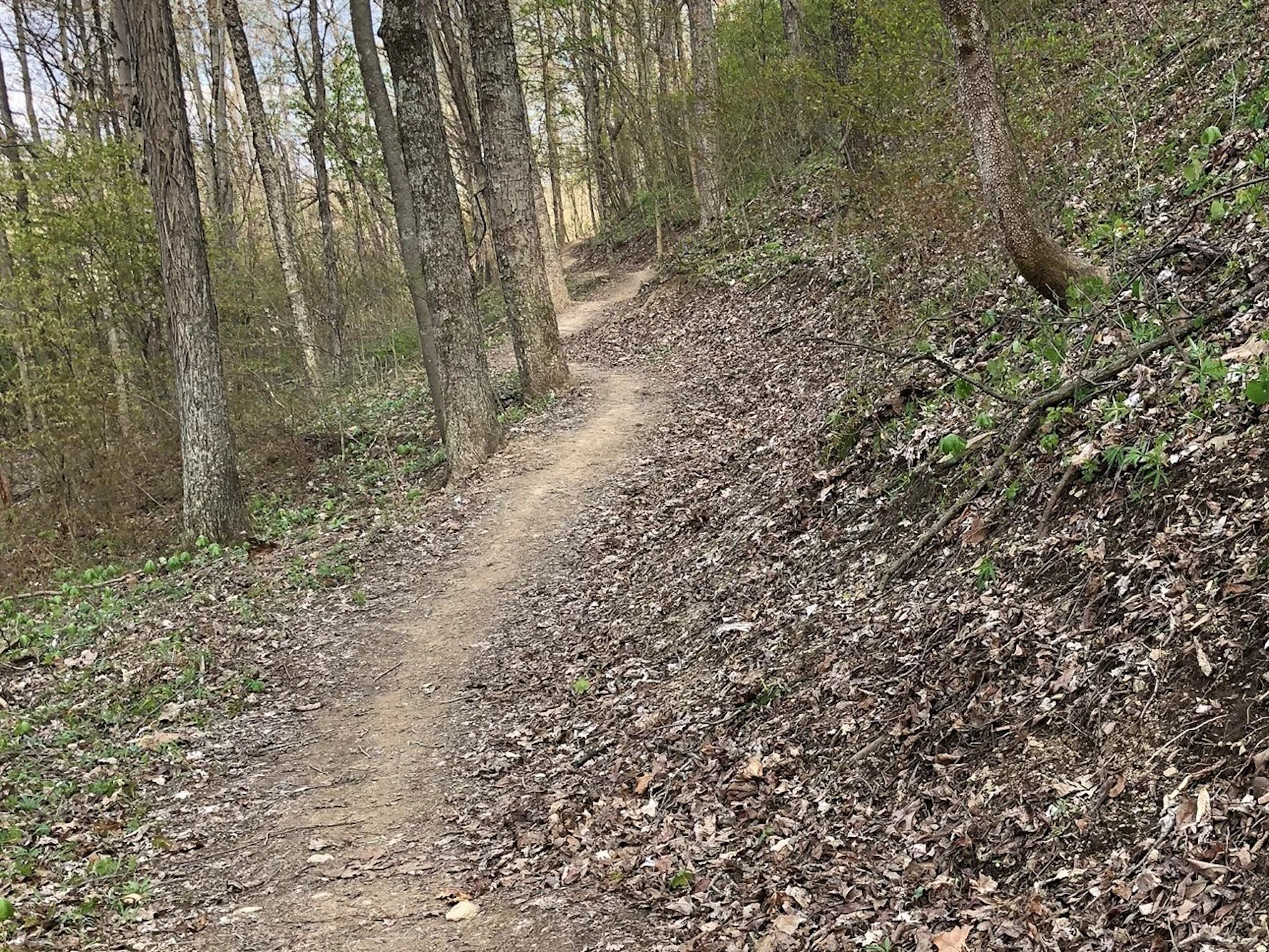 08 Gob Pile Trail