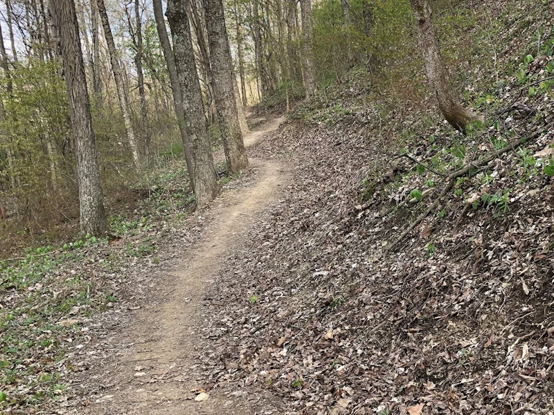 08 Gob Pile Trail