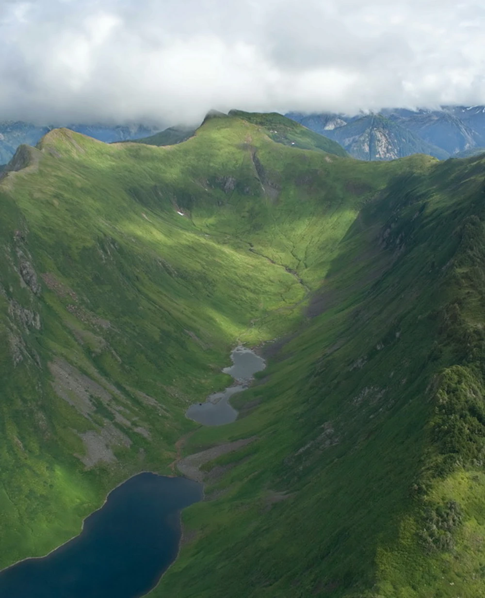 Tongass National Forest