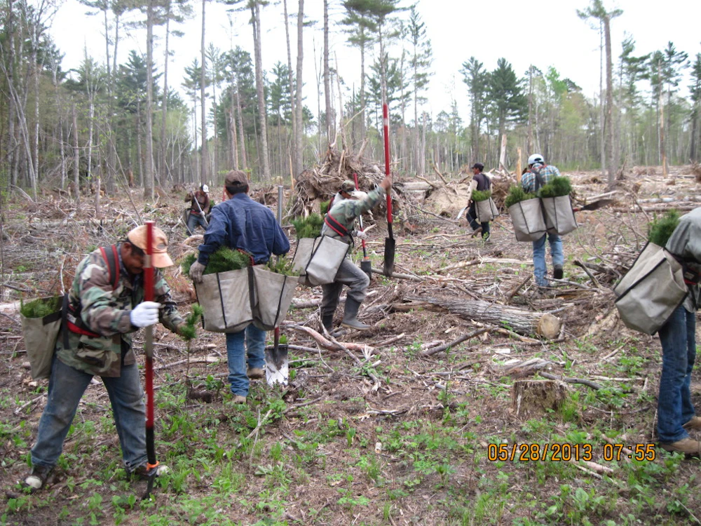 2013-LATE-WINTER-AND-SPRING-284 Chippewa-NF