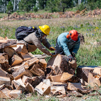 Crews handle firewood after a thinning operation.