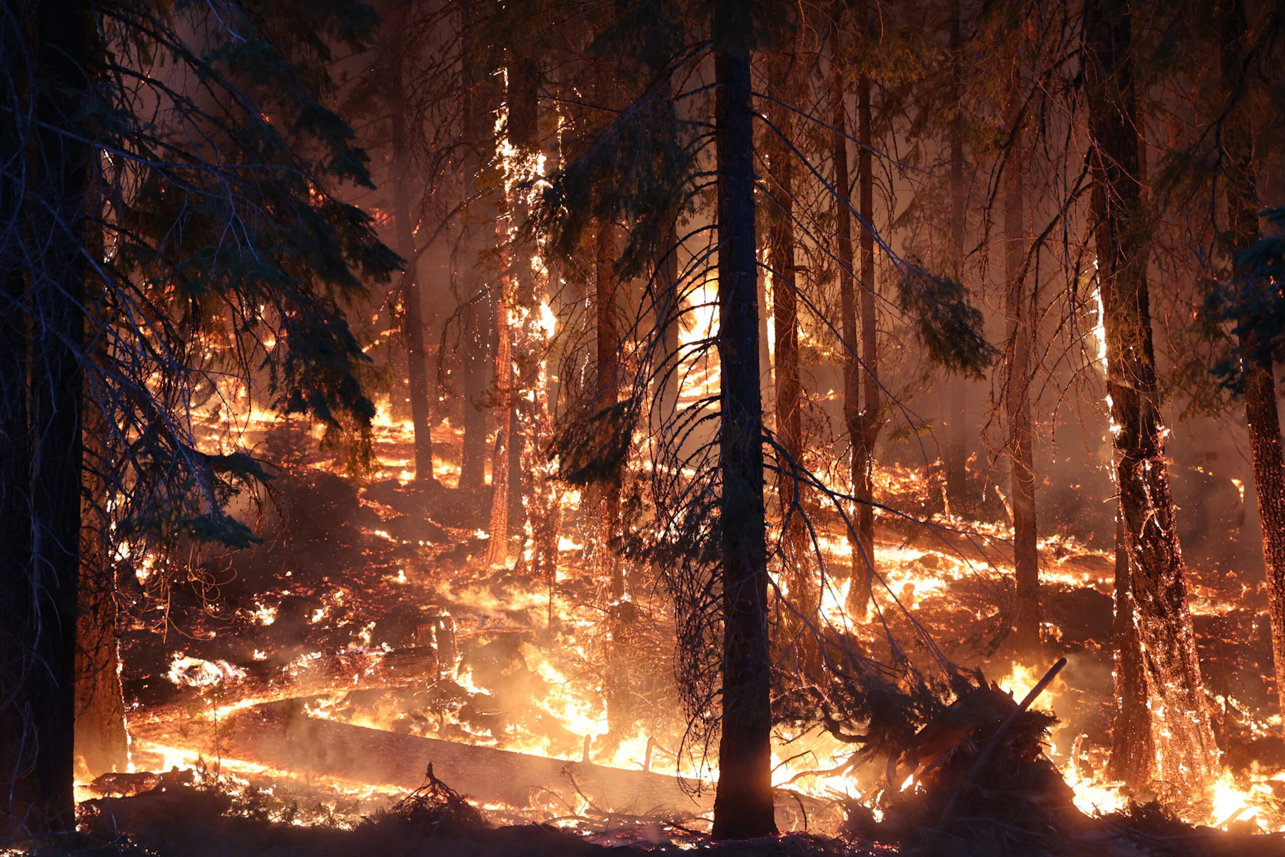 2021 Dixie fire Calfire