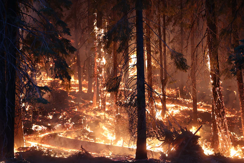 2021 Dixie fire Calfire