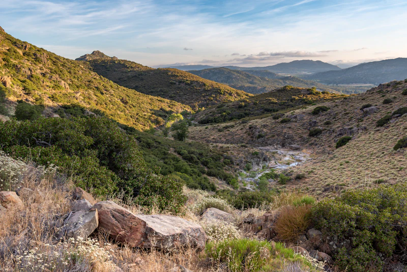 a desert valley with a small creek at dusk