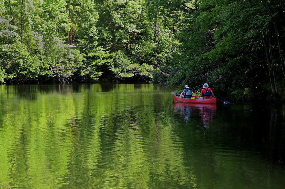 two people in a canoe in a small lake in a forest