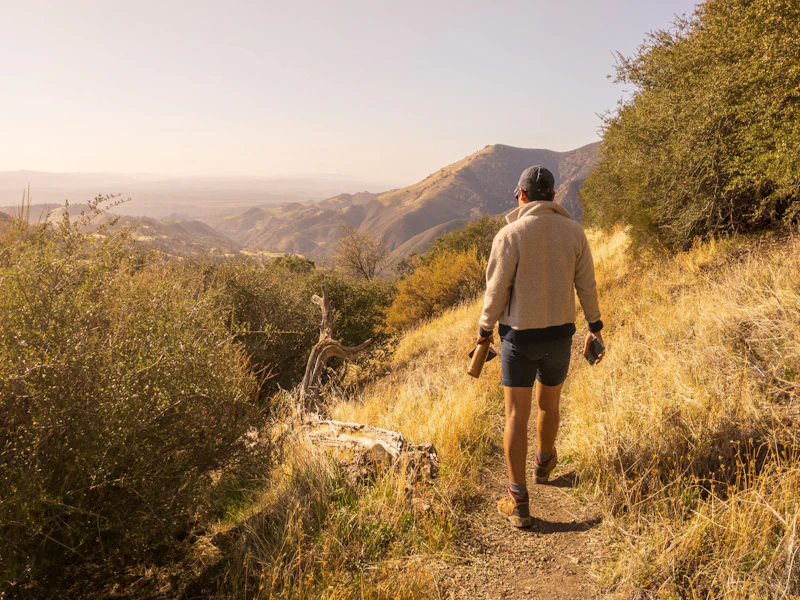 Hiker traverses a golden hillside.