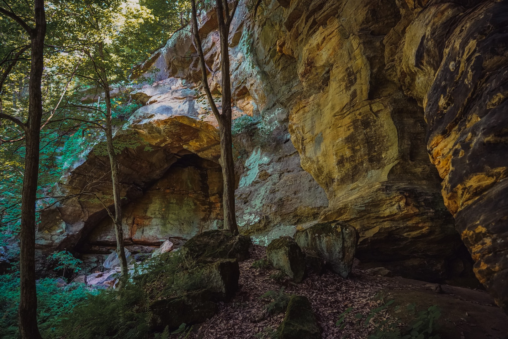 Hoosier National Forest — National Forest Foundation