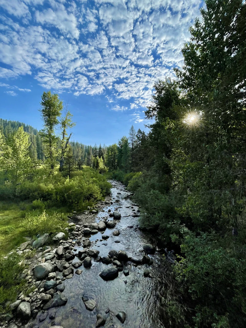 Creek.