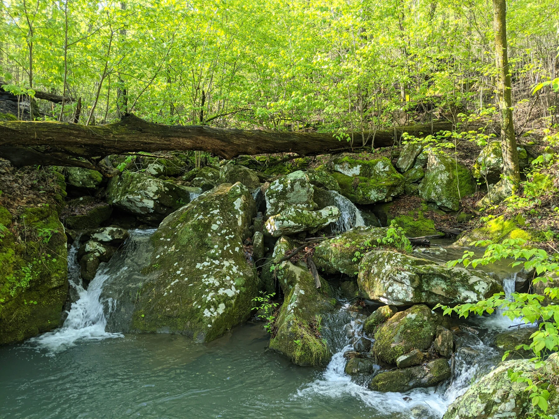 Creek.