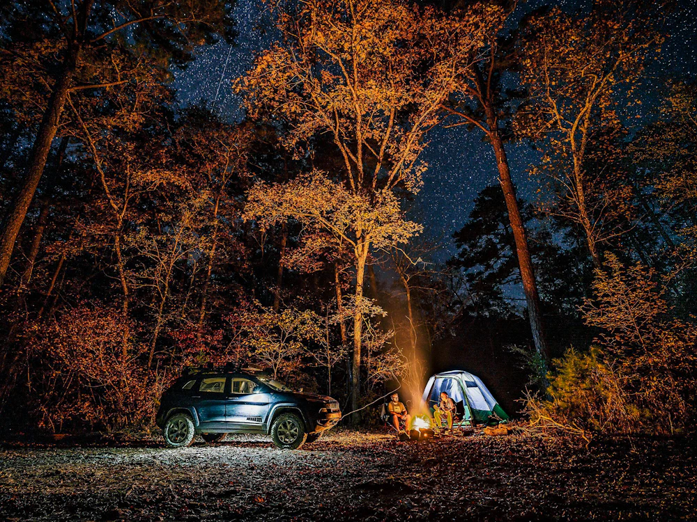 2978 Johnson Kyle Ouachita National Forest preset
