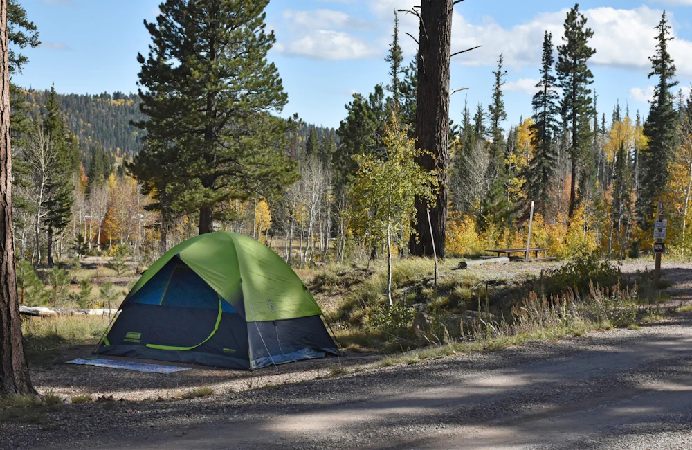 Book These National Forest Experiences Early  National Forest Foundation