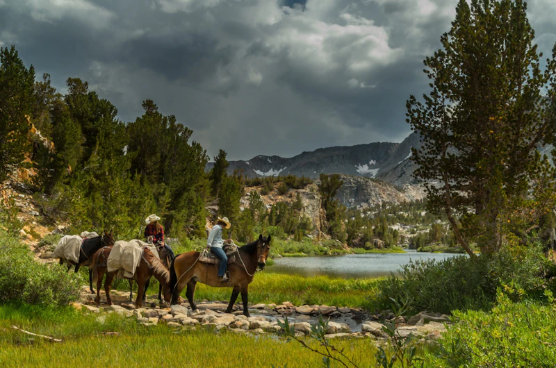 two people riding horses in a forest in front of a small lake