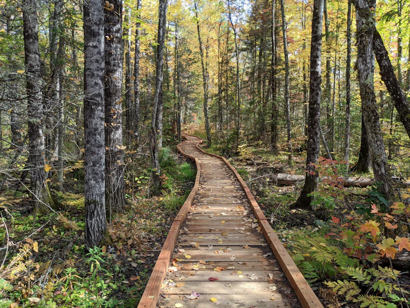Boardwalk trail.
