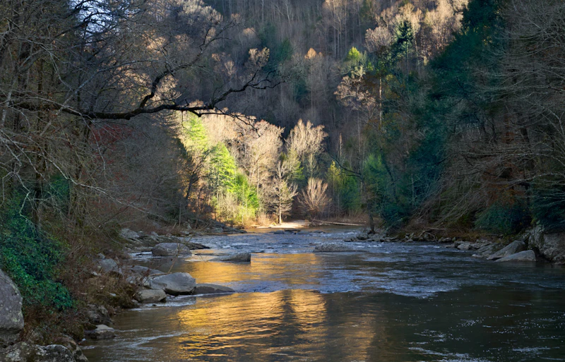 Evening light on the river.