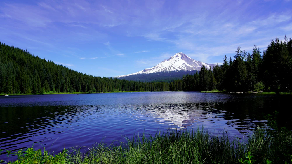 4118 Huang Caroline Mount Hood NF