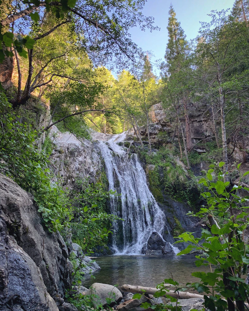 small waterfall in the forest