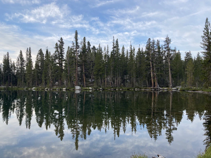 a lake with conifer trees is reflected in the water