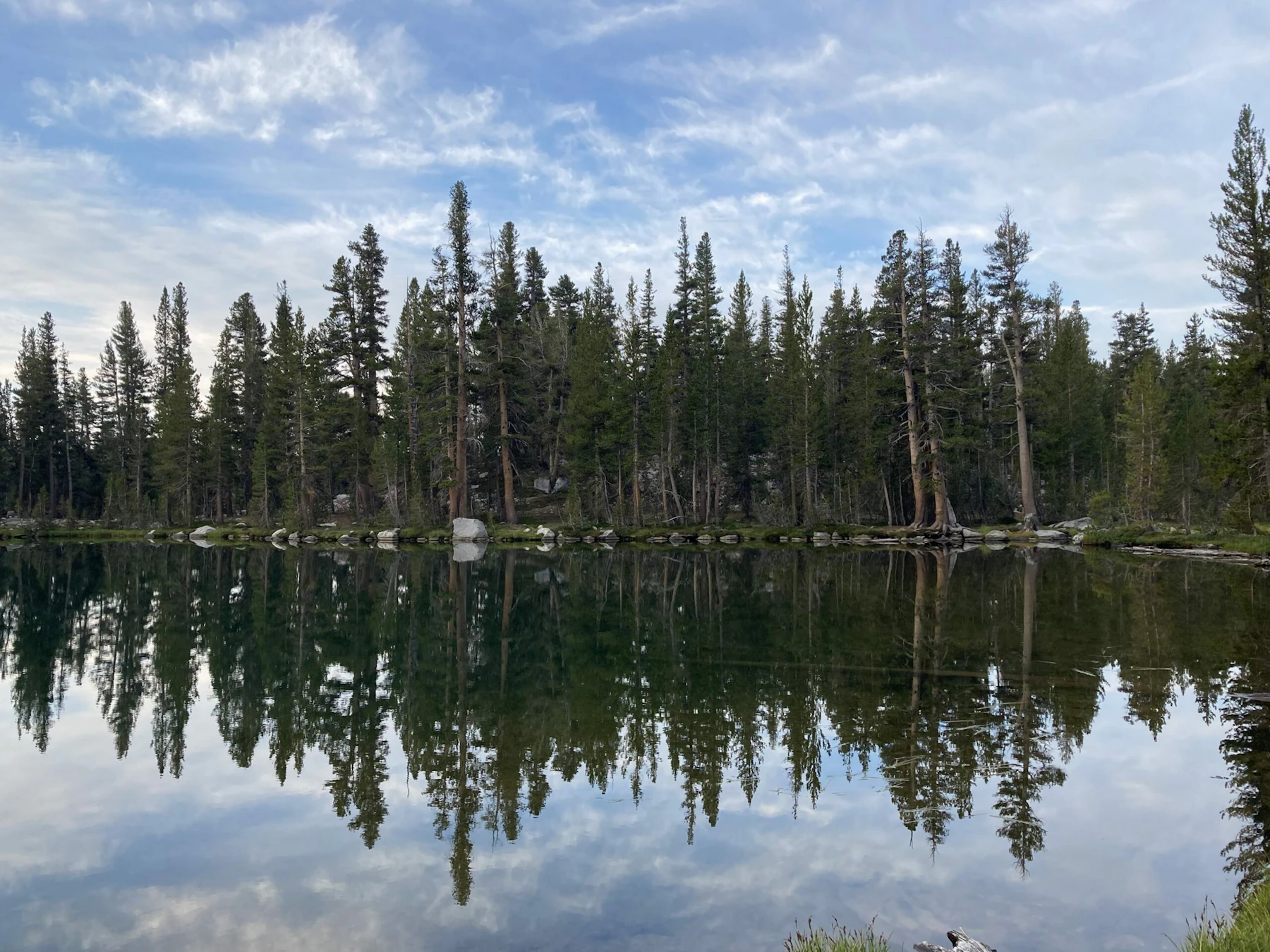 4138 Brown Kayla Sierra National Forest
