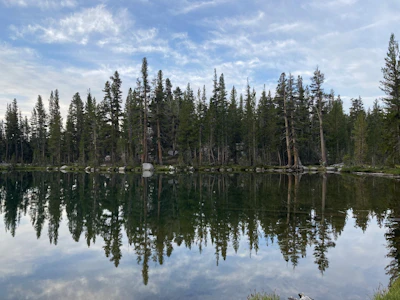 4138 Brown Kayla Sierra National Forest