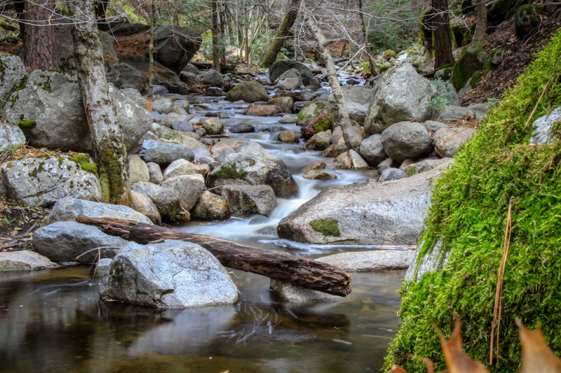 a small creek over stones in a forest