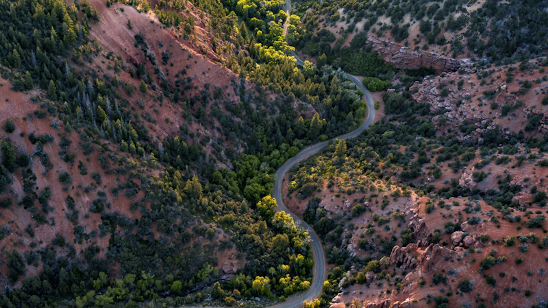Highway winding through a red canyon.