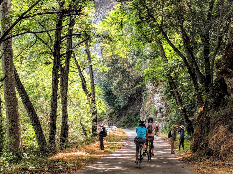 bikers and hikers walk down a trail in a forest