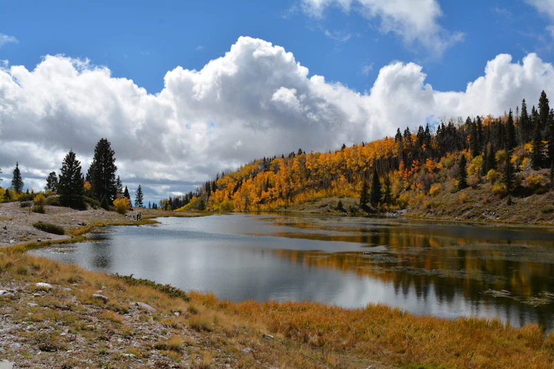 Autumn lake.