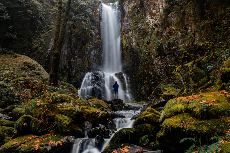 Man in front of a waterfall.