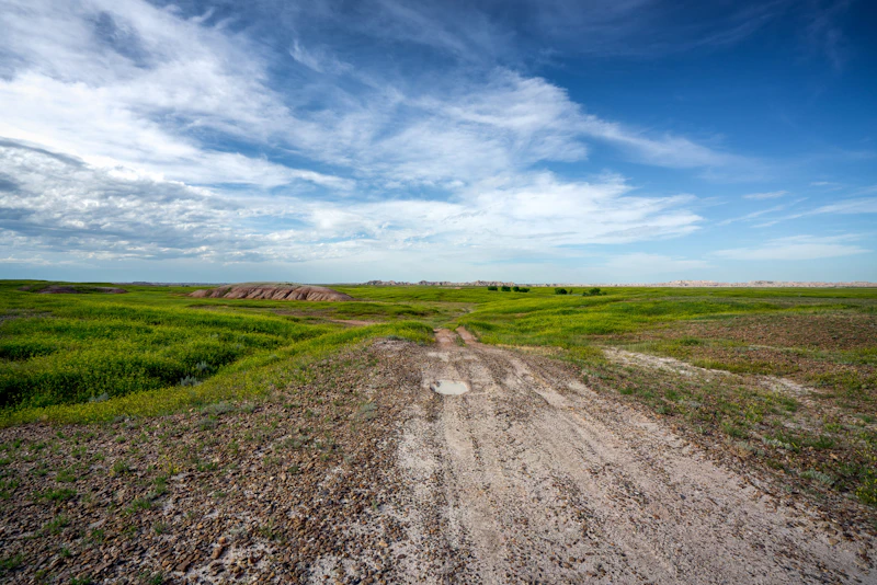 Gravel road through grassland.