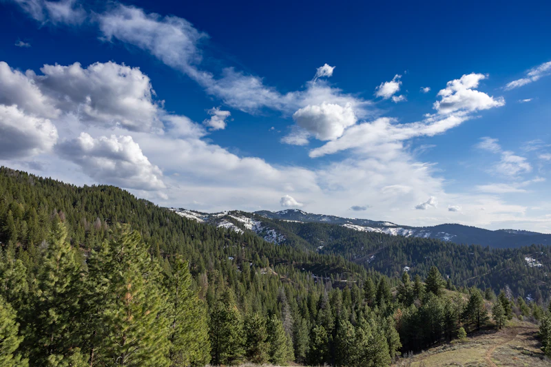 partly cloudy skies beneath a forest and mountains