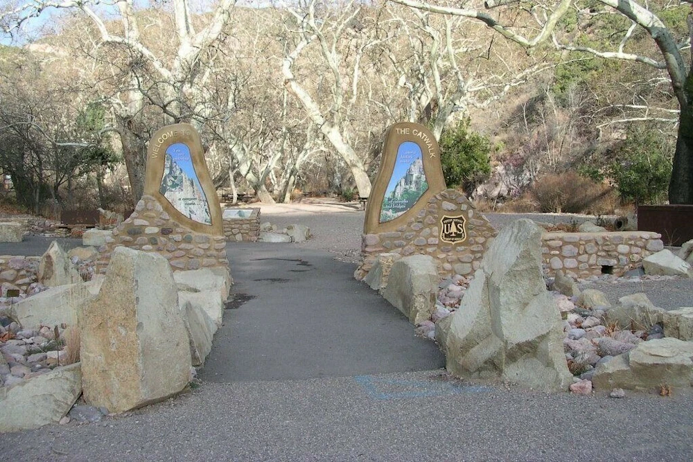 picnic area in a dry forest with a path
