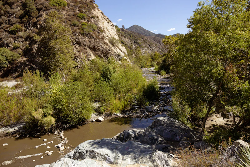 a creek in a mountain setting
