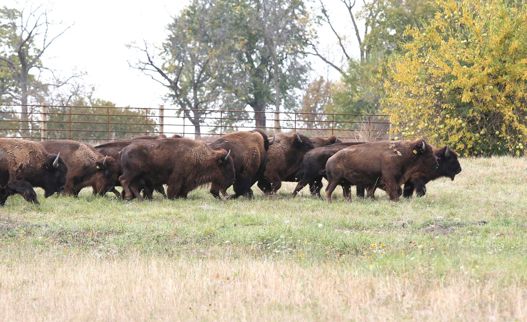 949A1012 small