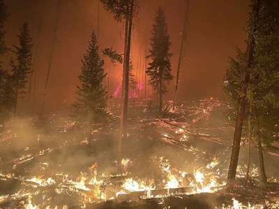 ARP Williams Fork Fire USFS