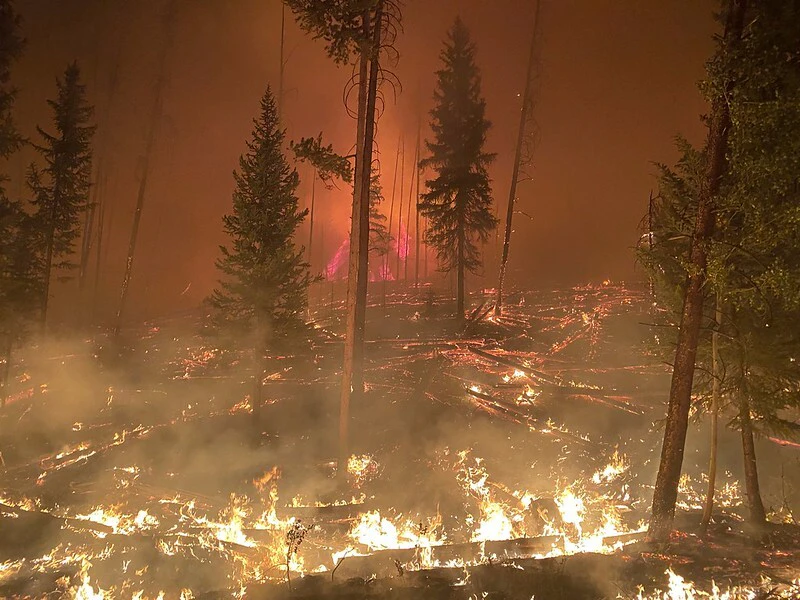 ARP Williams Fork Fire USFS