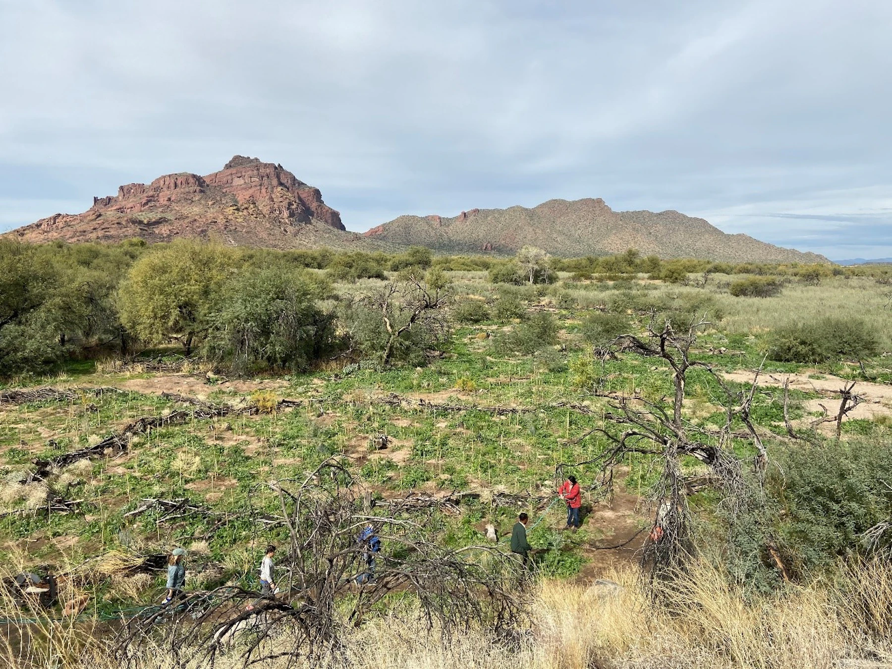 Az1