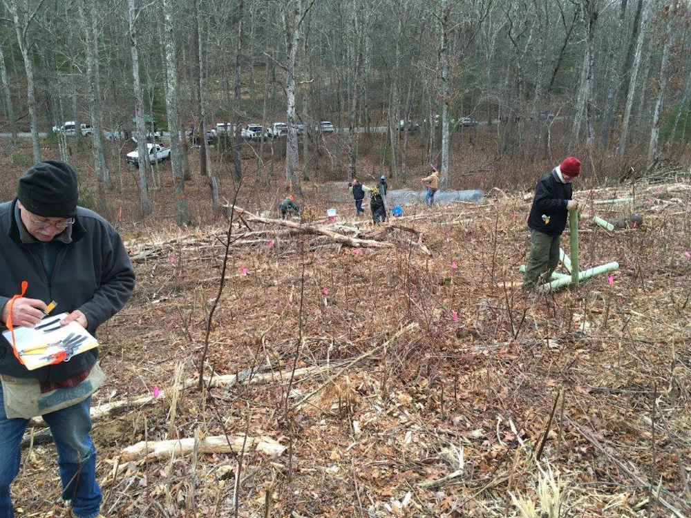 About To Start Planting   Tacf Volunteers Help Map And Flag The Site