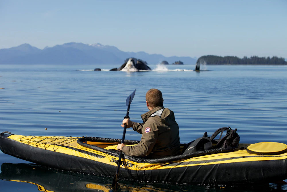 Admiralty-Island LWP-Communications