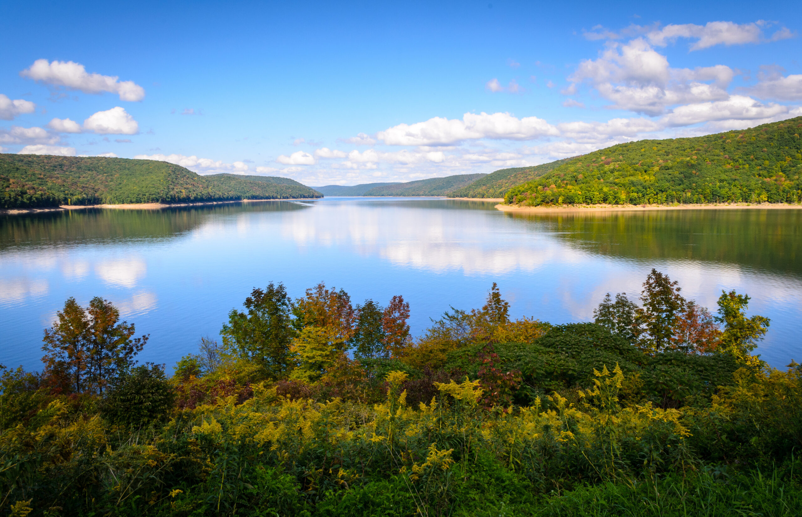 view of a large lake amidst a forest