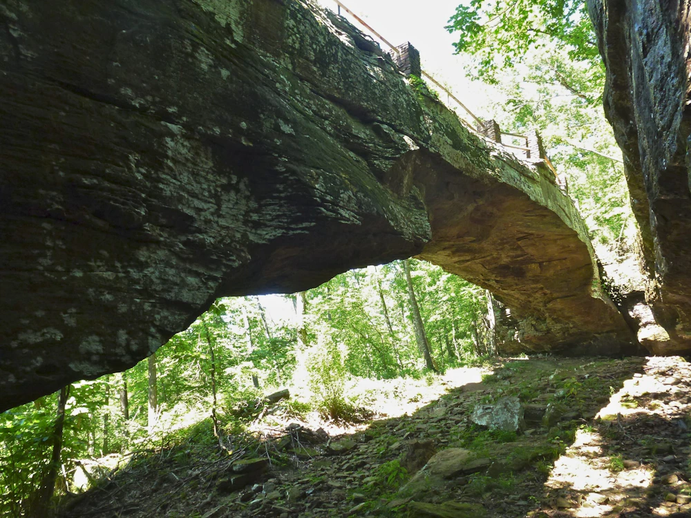 large stone arch in a forest