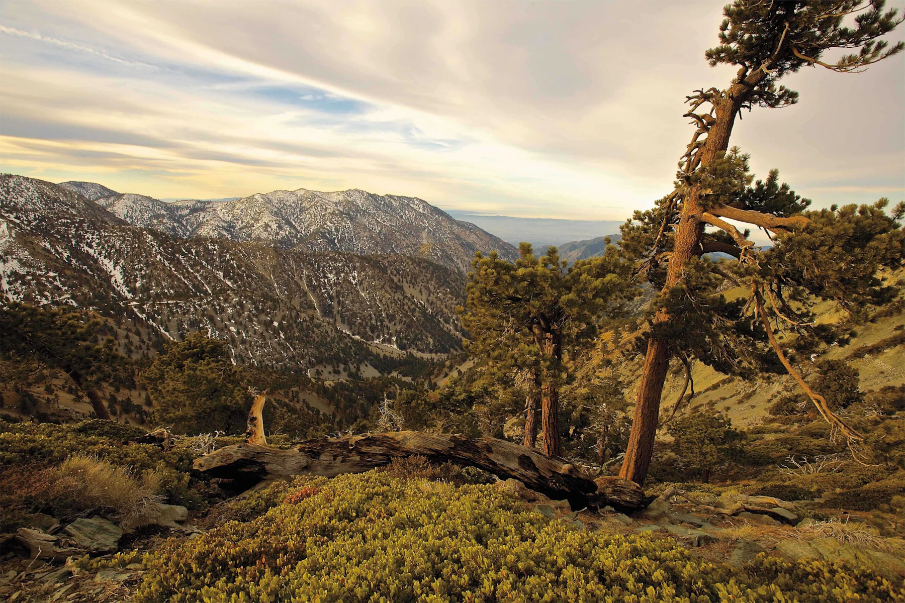 AmericasGreatNatlForests ANF