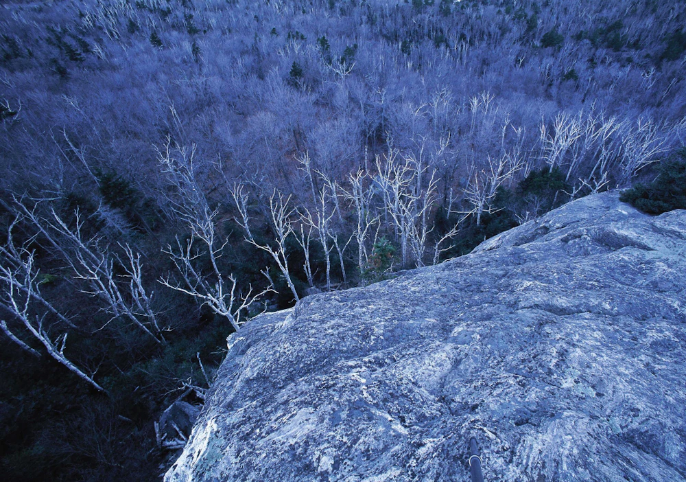 AmericasGreatNatlForests WMNF-3 Tim-Palmer