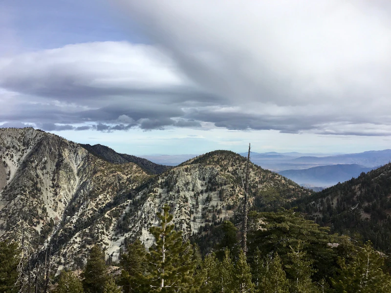 Angeles 1
