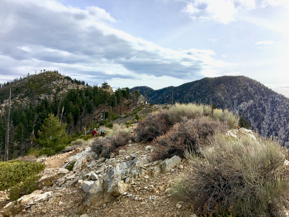Angeles 10