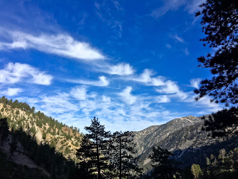 Angeles 2