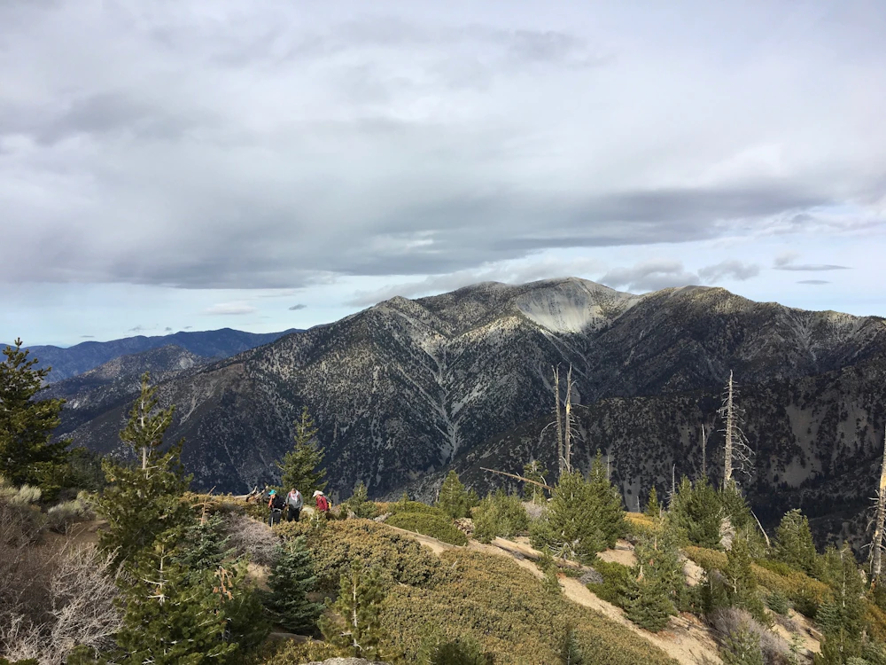 Angeles 6