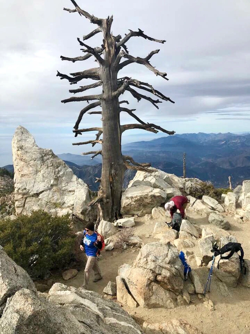 Angeles 7